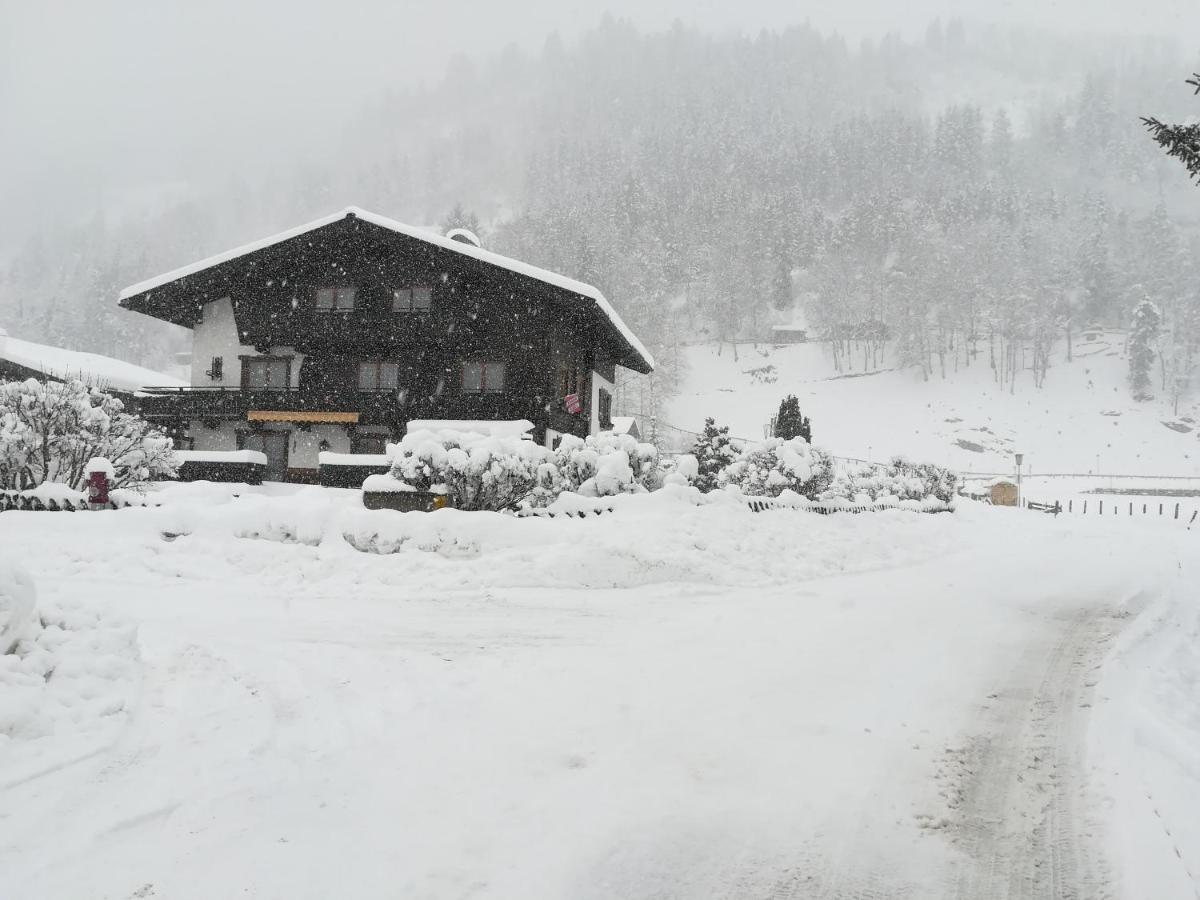 Pension Alpentraum Zell am See Zewnętrze zdjęcie