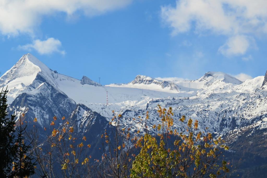 Pension Alpentraum Zell am See Pokój zdjęcie